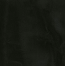 Torginol Pigment 16 oz