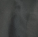 Torginol Pigment 16 oz