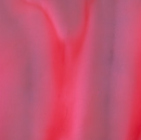 Torginol Pigment 16 oz