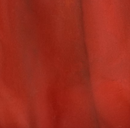 Torginol Pigment 16 oz