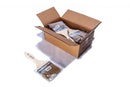 Paint Brush White Bristle (BOX of 12)